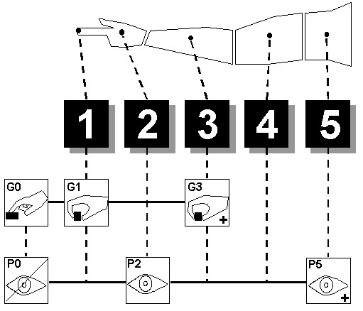 Diagram of MODAPTS elements Diagram of MODAPTS elements